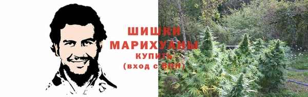 эйфоретик Вяземский