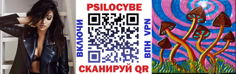 Галлюциногенные грибы мицелий  купить  цена  Губаха 