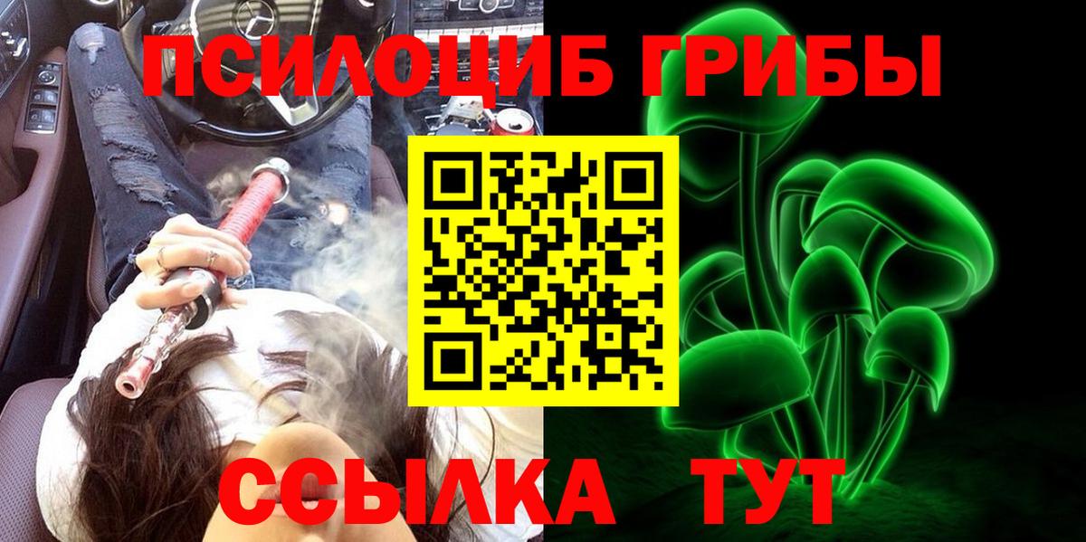 Галлюциногенные грибы Cubensis  Галлюциногенные грибы прущие грибы  Вход с VPN  Губаха 