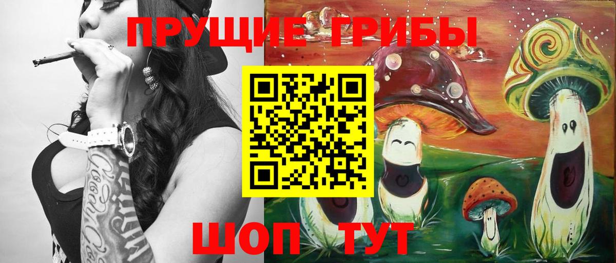 Галлюциногенные грибы Psilocybine cubensis Губаха