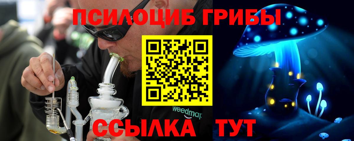 Галлюциногенные грибы мицелий  Губаха 